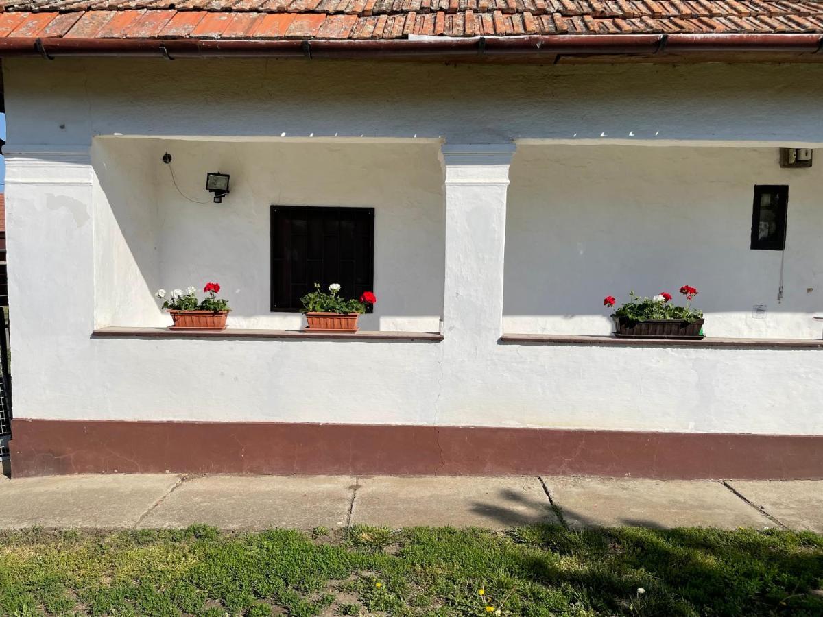 PoroszlóZsuzsa Apartmanアパートメント エクステリア 写真